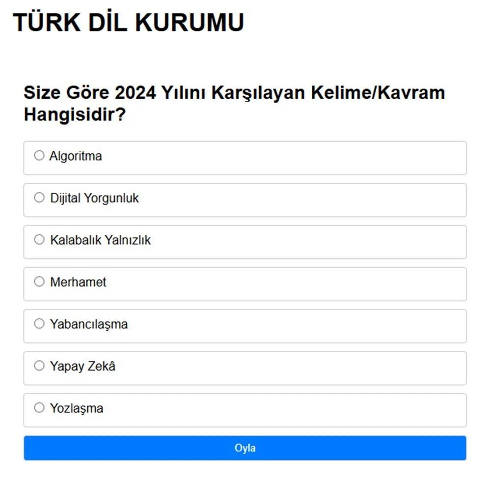 TDK anket başlattı: 2024'ü anlatan kelime hangisi? 3