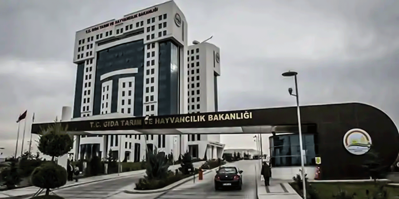 Avrupa 'zehirli' diyerek geri göndermişti: Bakanlıktan kuru incir ve Antep fıstığı için çok sert önlemler 2