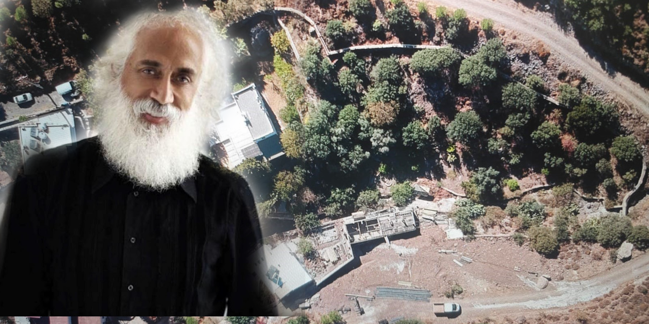 Bodrum'daki arazisinde site yapmak için ağaçları kestiği iddia edilen Suavi'ye ceza da kesildi