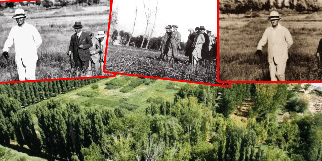 İDDİA: Atatürk Orman Çiftliği'nin adı değiştirilecek
