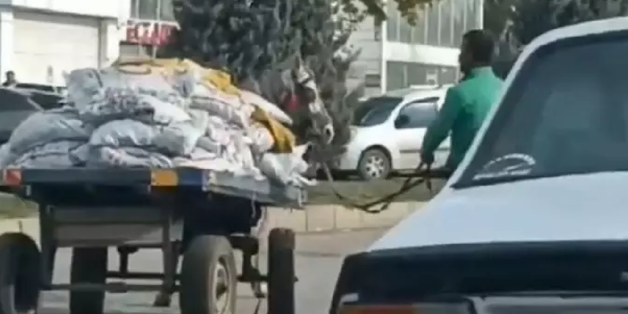 Tonlarca ağırlıkta yük taşıyan ata eziyet etti: Kameralara yakalandı