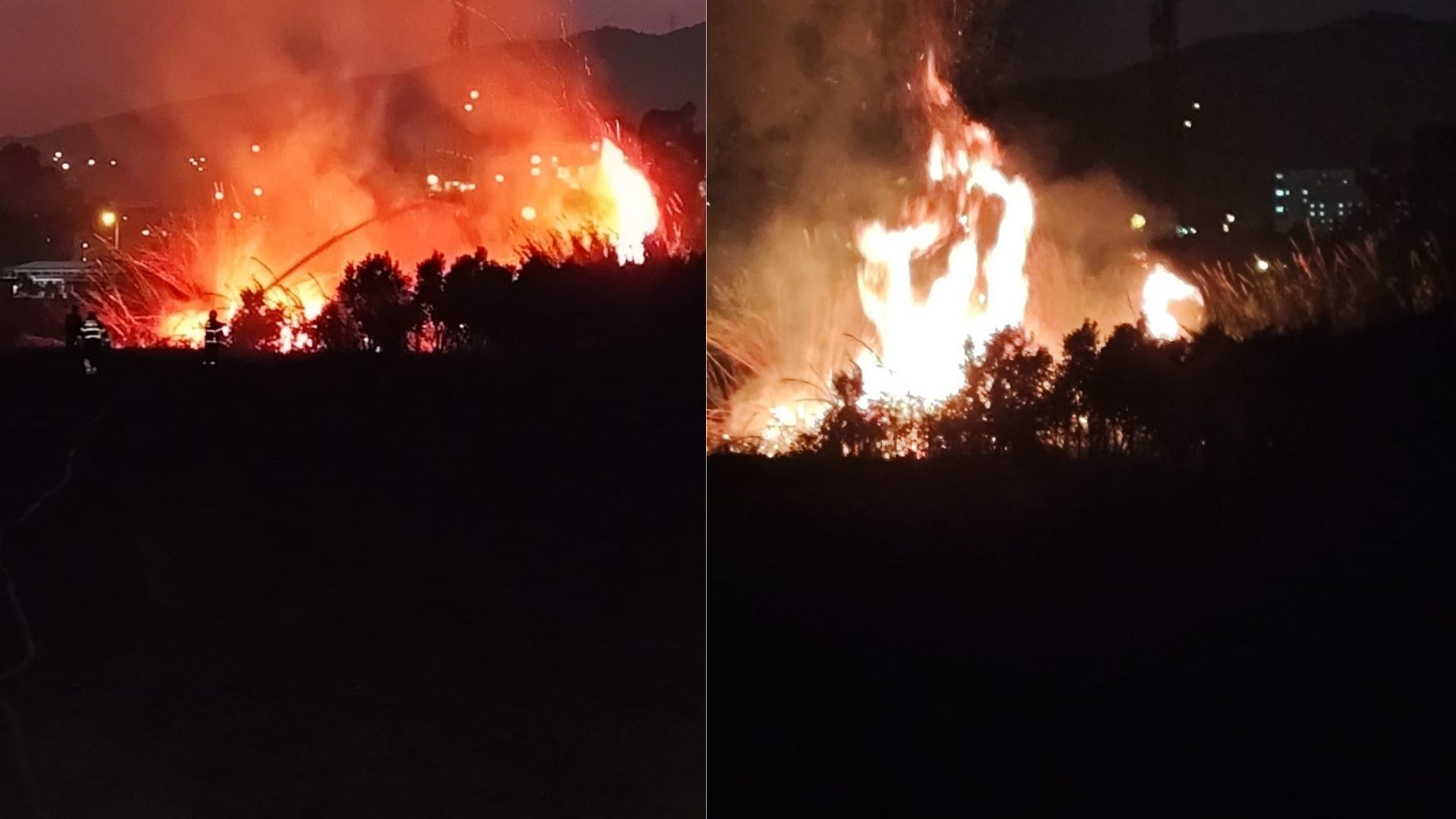 Antakya'da sazlıkta çıkan yangın söndürüldü