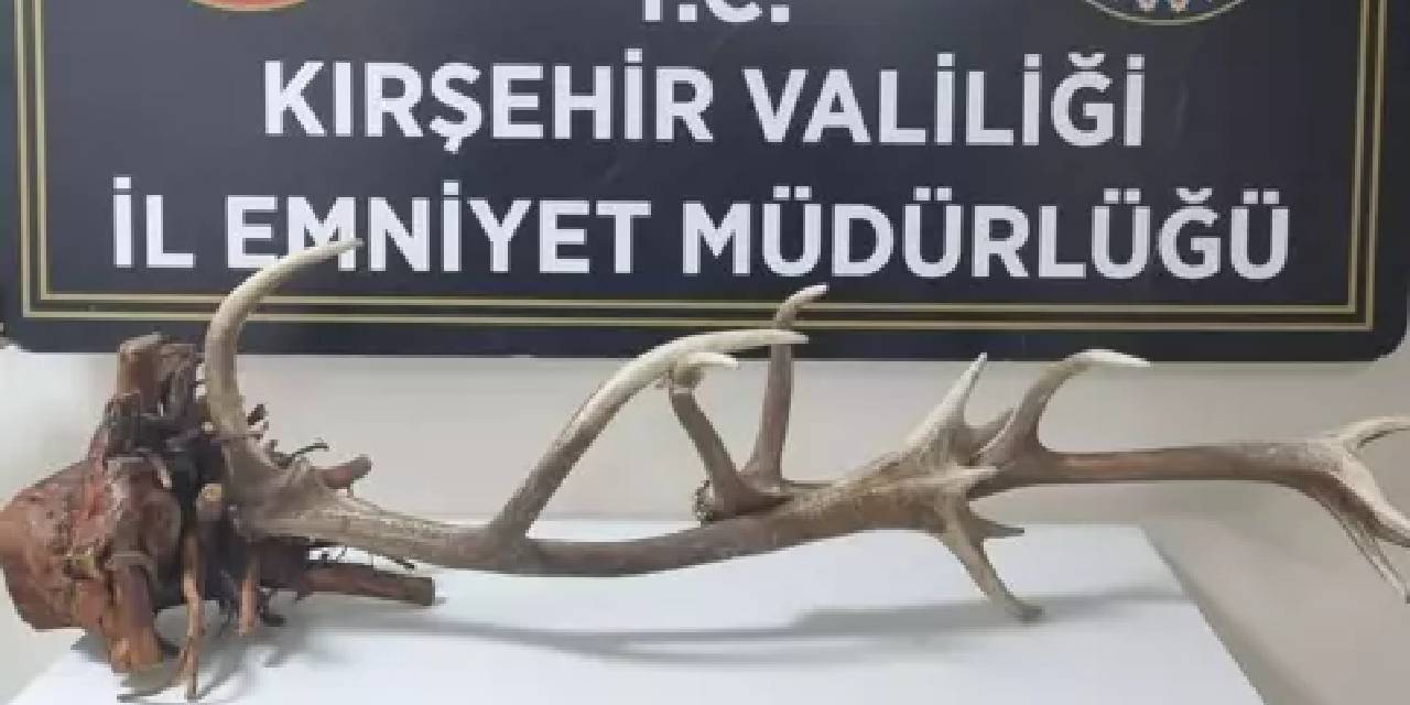 Kırşehir'de koruma altındaki hayvanın parçasını satan kişi yakalandı