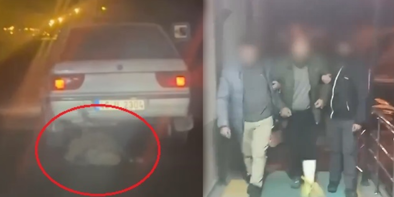 Domuzu arabanın arkasında sürekledi, polis yakaladı