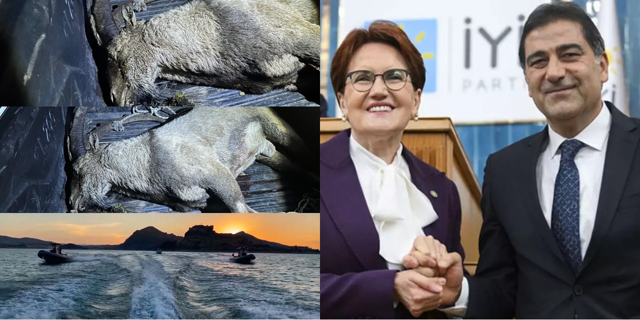 Yaban keçisi avlayıp jandarmadan kaçan İYİ Partili vekile ceza