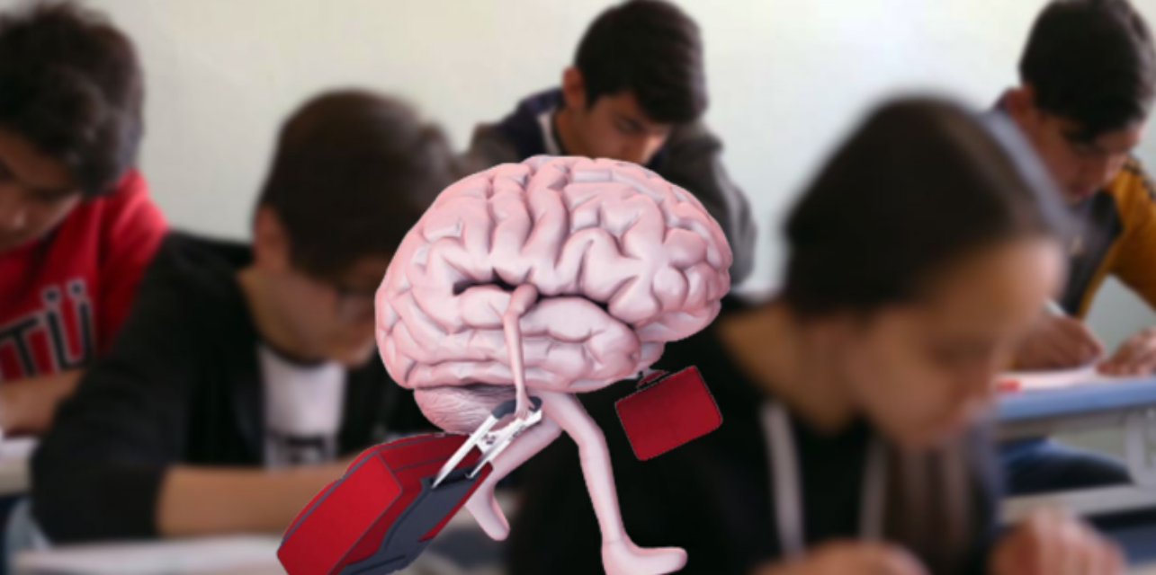 Türkiye’de beyin göçü alarm veriyor: En başarılı liselerin mezunları yurtdışına gidiyor
