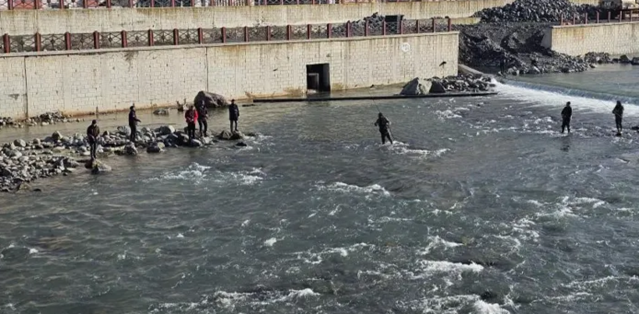 Karadeniz'de kafesi parçalandı, halk akın etti