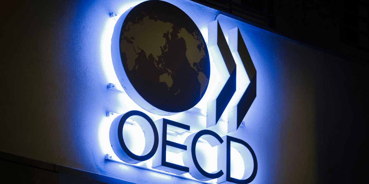 OECD'den Türkiye için büyüme ve enflasyon tahmini