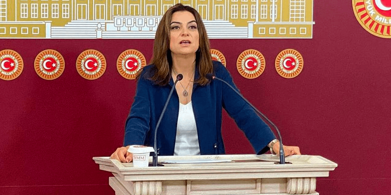 DEM Partili Gülistan Koçyiğit'ten 'umut hakkı' çıkışı: Meclis'te yaprak kımıldamıyor