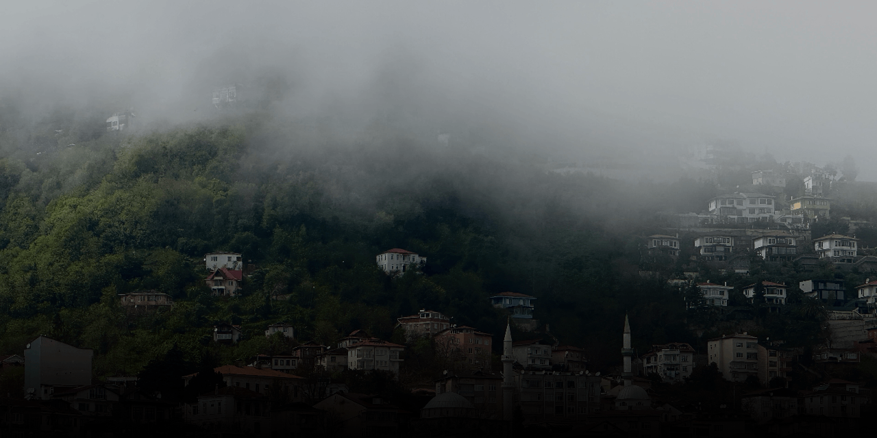 Yoğun sis Ordu'yu esir aldı