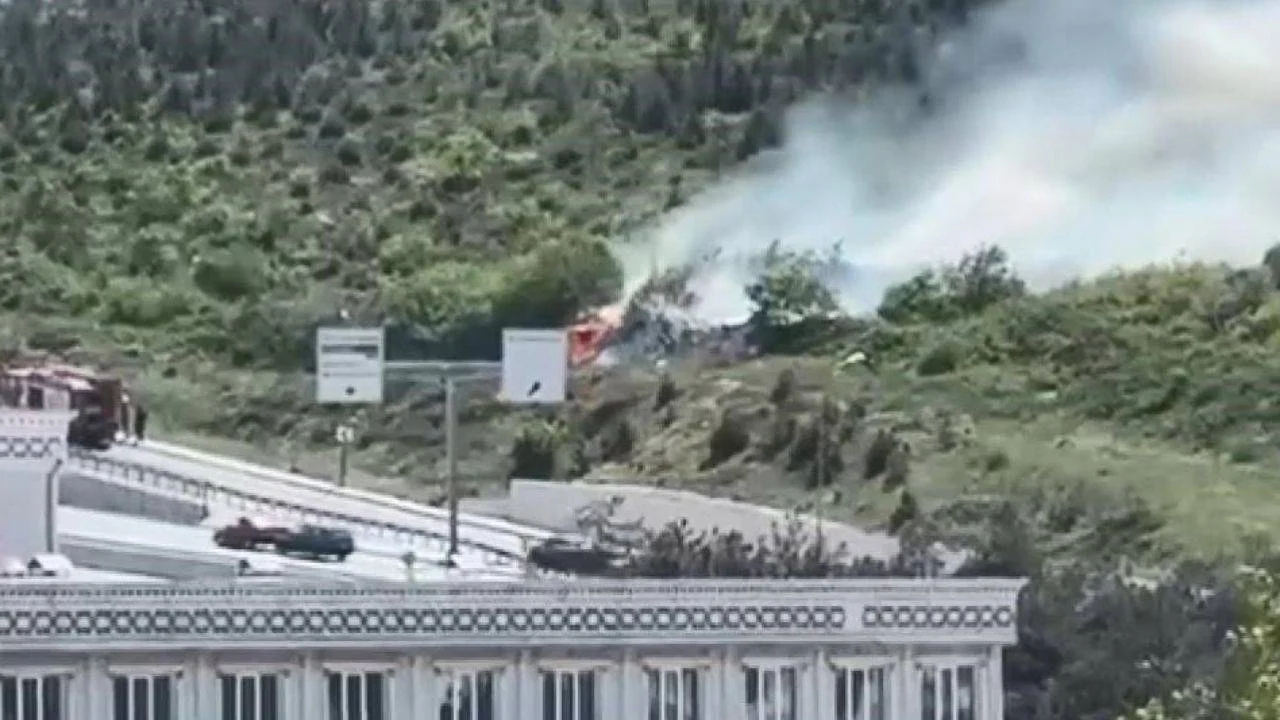 Arnavutköy'de ormanlık alanda yangın