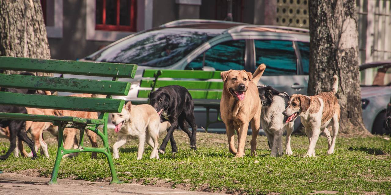 AYM'den 'katliam yasası'nın iptaline ret