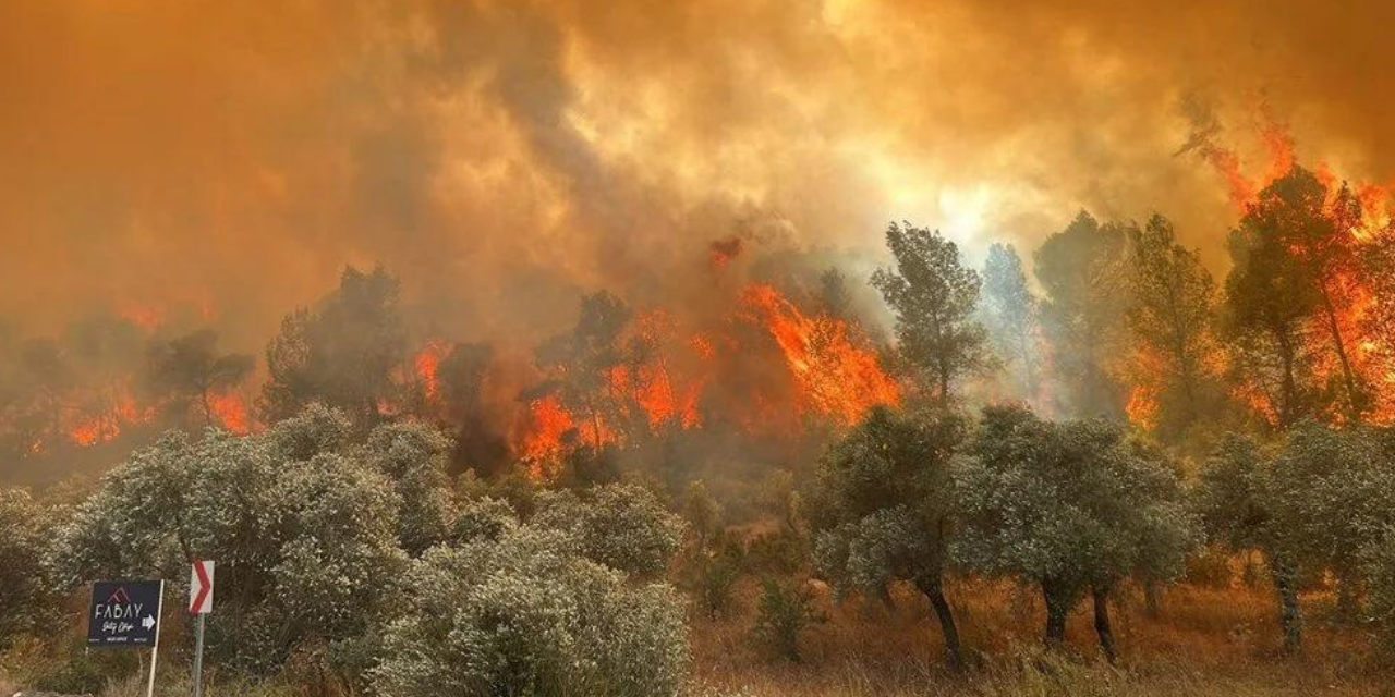 Muğla’daki yangının nedeni belli oldu! Baba oğul gözaltında