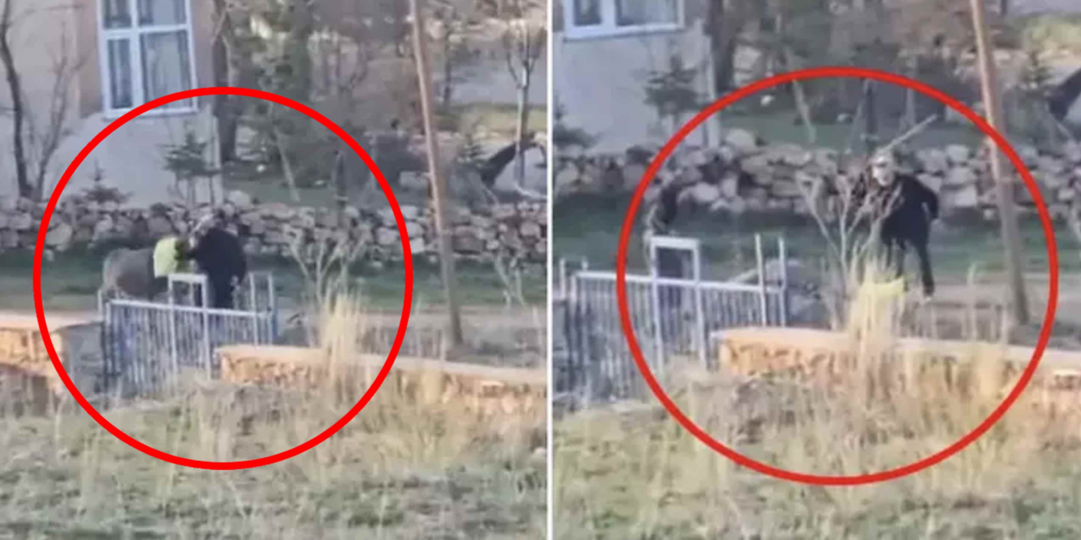 Vicdansızlığın böylesi: Başına çuval geçirip vurdukça vurdu