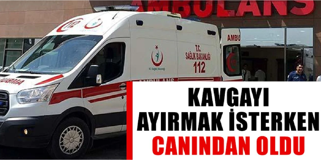 Çıkan kavgayı ayırmak isteyen Bahri Günay hayatını kaybetti