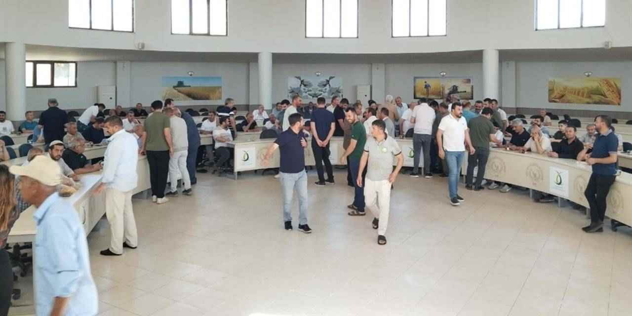 İlk hasat yapıldı: Kilosu 17 liradan satıldı