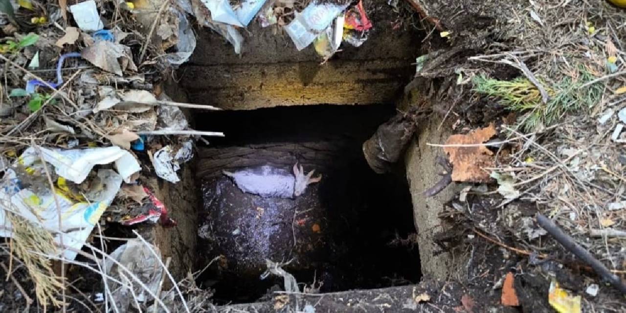 İtfaiye ekiplerinden keçi kurtarma operasyonu: O anlar böyle görüntülendi