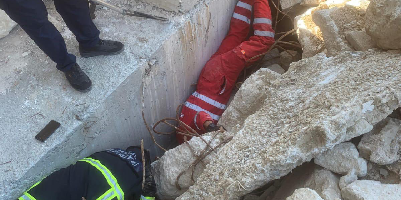 Hatay Antakya'da deprem sonrasında bir binada meydana gelen yıkıntılar arasında sıkışan 5 köpek yavrusu kurtarıldı