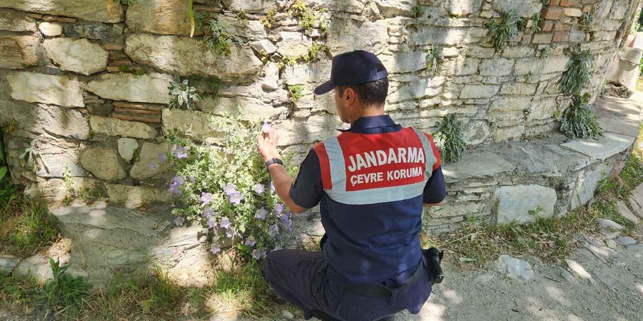 Koparmanın cezası 577 bin TL