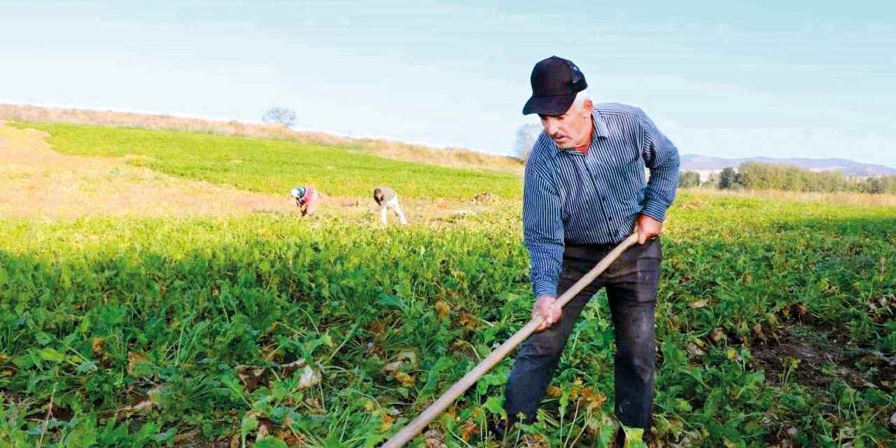 9 bin çiftçiye 10 milyon 500 bin adet dağıtıldı