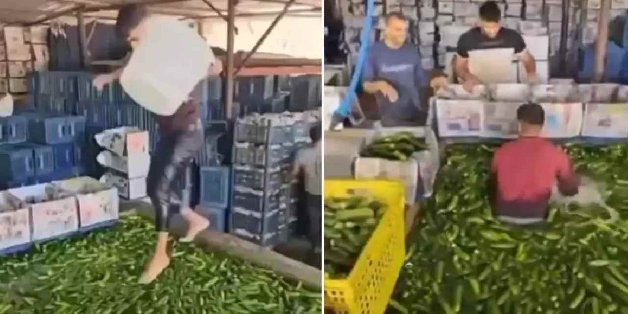 Çıplak ayakla salatalık havuzuna girdi: Bakanlık devreye girdi