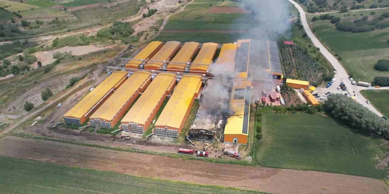Yumurta üretim tesisinde yangın: Binlerce tavuk telef oldu