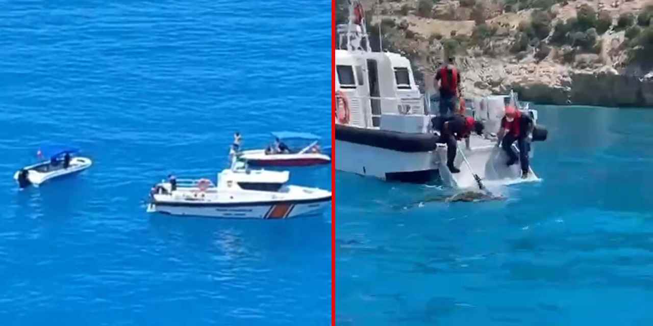 Dalış yapmak için denize girdi: Cansız bedeni çıkarıldı