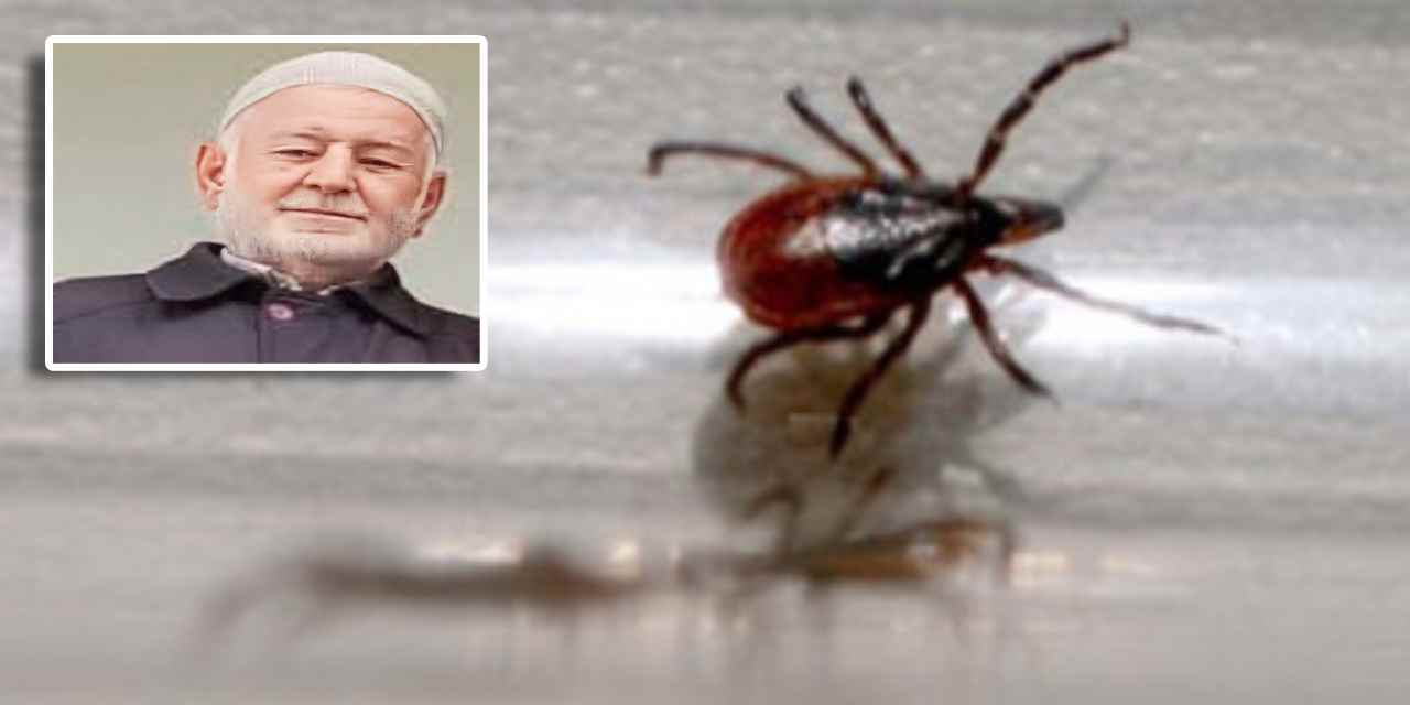 Koltuk altına yapışan kene hayatına mal oldu