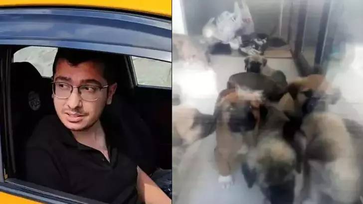 Çok sayıda köpeğe cinsel istismarda bulunup öldüren doktor için istenen ceza belli oldu!