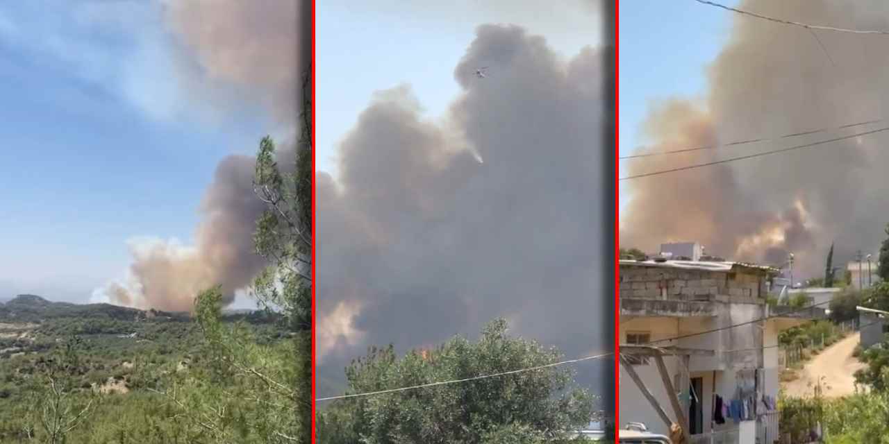 Adana'da orman yangını