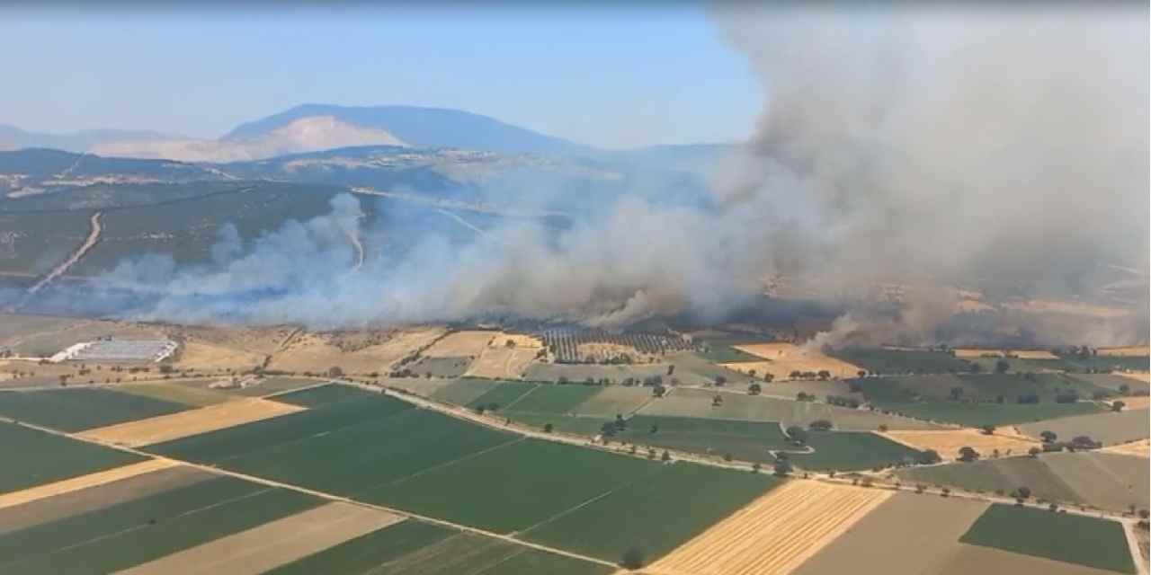 İzmir'de orman yangını: Havadan ve karadan müdahale sürüyor
