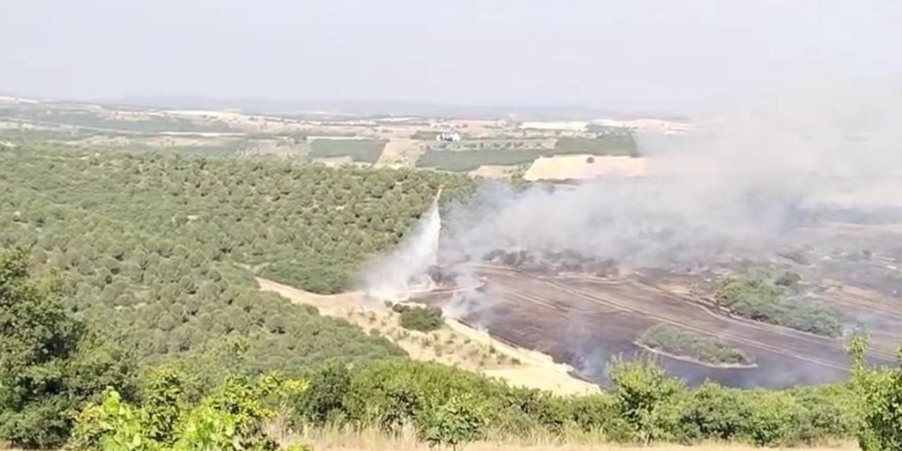 Bursa'da orman yangını: Havadan ve karadan müdahale ediliyor