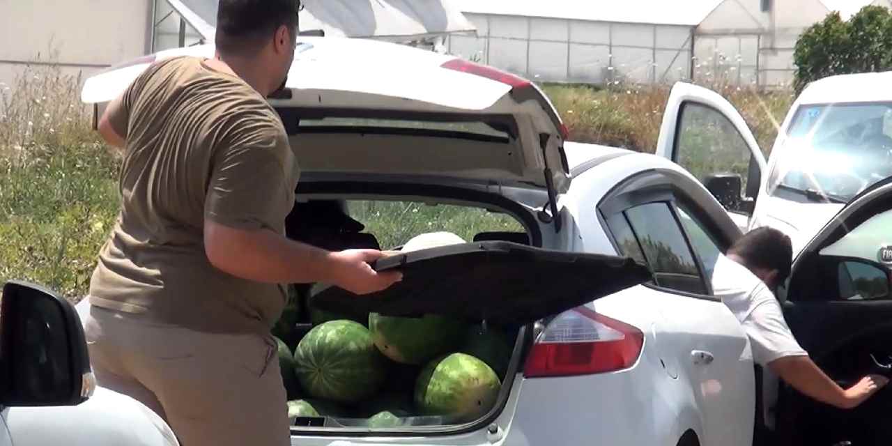 Satamayınca bedavaya dağıttı: Binlerce kişi duyunca tarlaya akın etti
