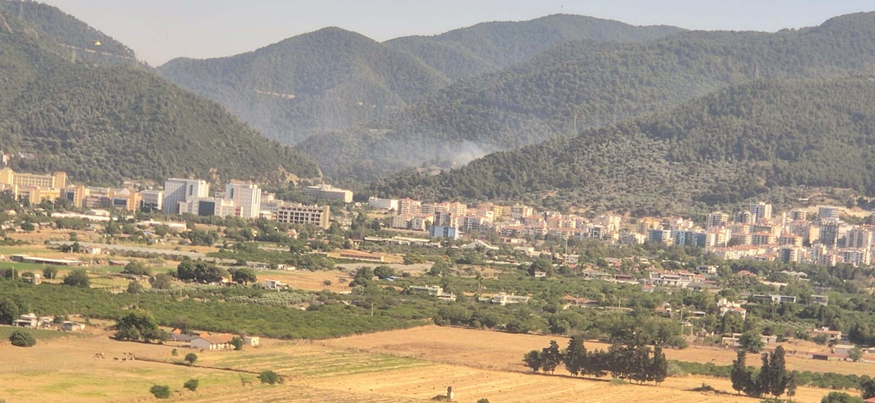 İzmir'de orman yangını: Havadan ve karadan müdahale ediliyor