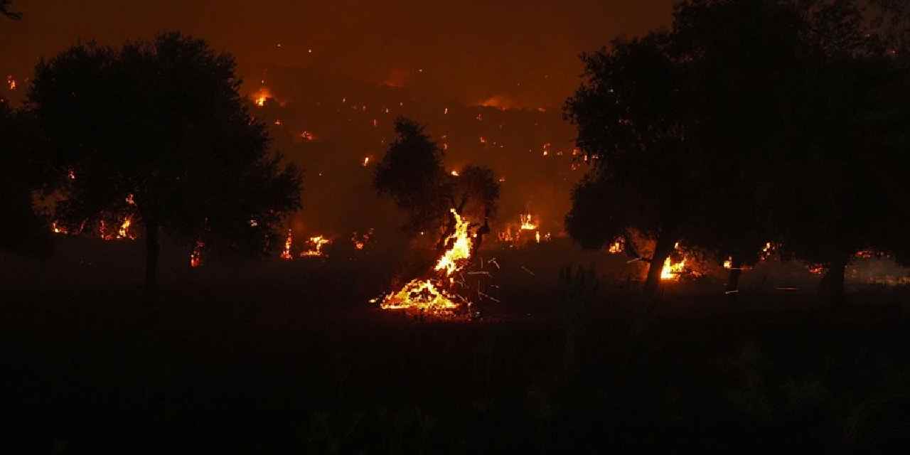 İzmir'de orman yangınları sürüyor: Otobüs alevlerin arasında kaldı
