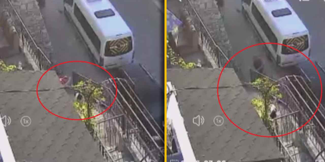 Havlamasından rahatsız oldu, köpeğe taş ve sopayla saldırdı