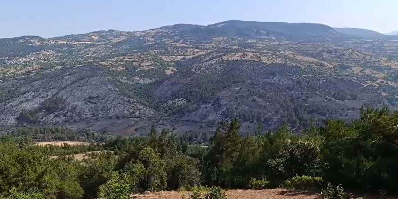 Balıkesir'deki orman yangınında 2'nci gün