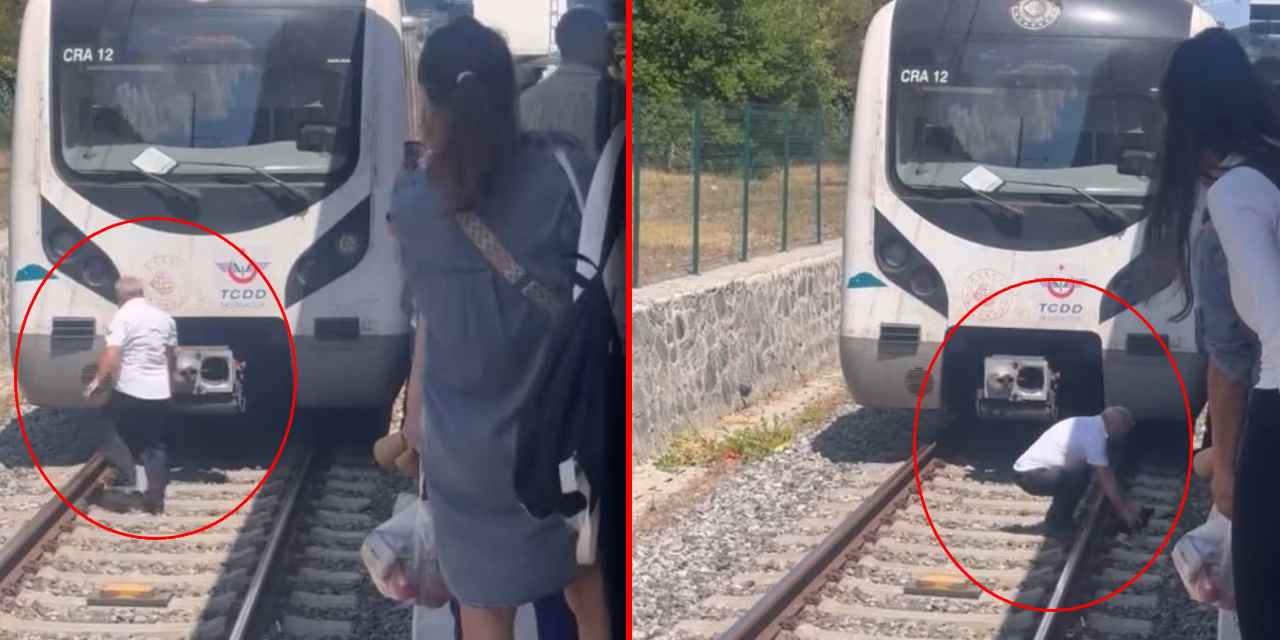 Raylardaki kediyi görünce treni durdurup yanına koştu