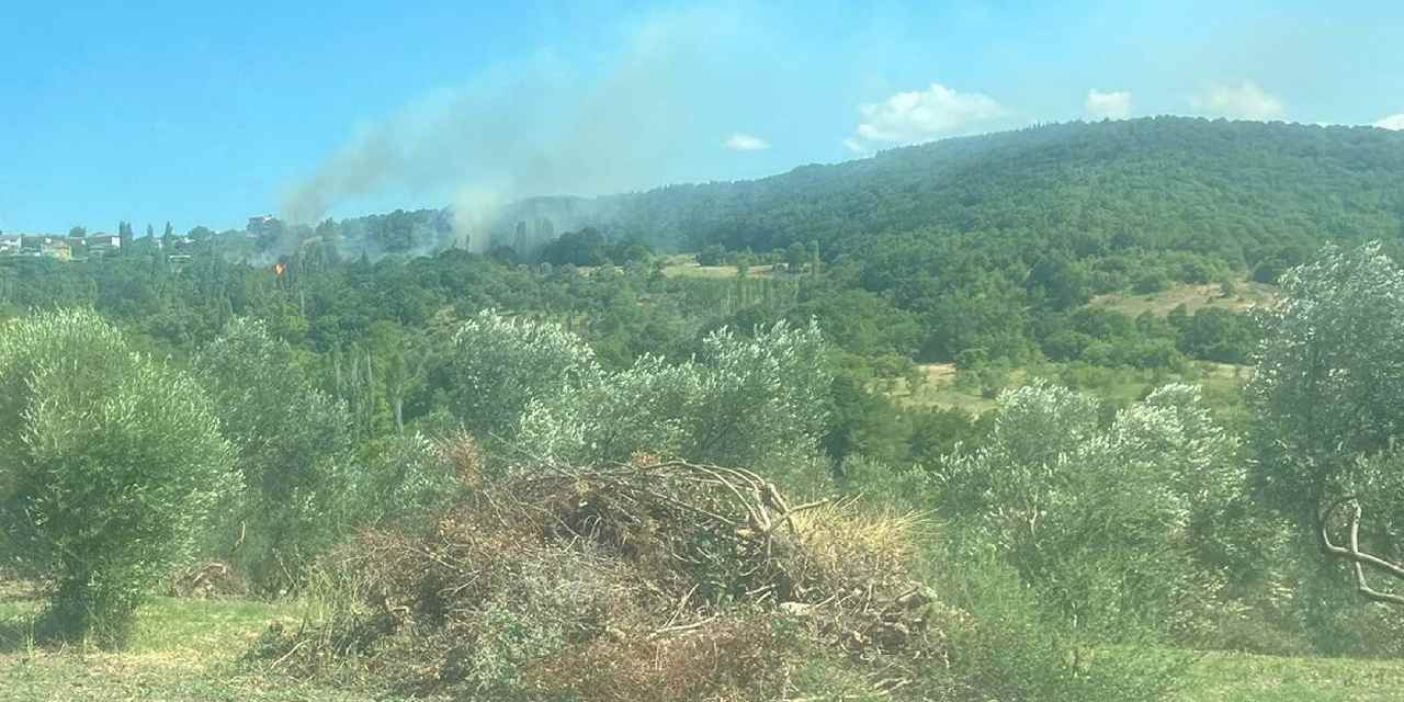 Çanakkale'deki orman yangınının çıkış nedeni belli oldu: 2 şüpheli gözaltında