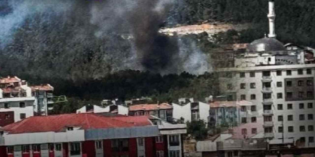 İstanbul'da orman yangını