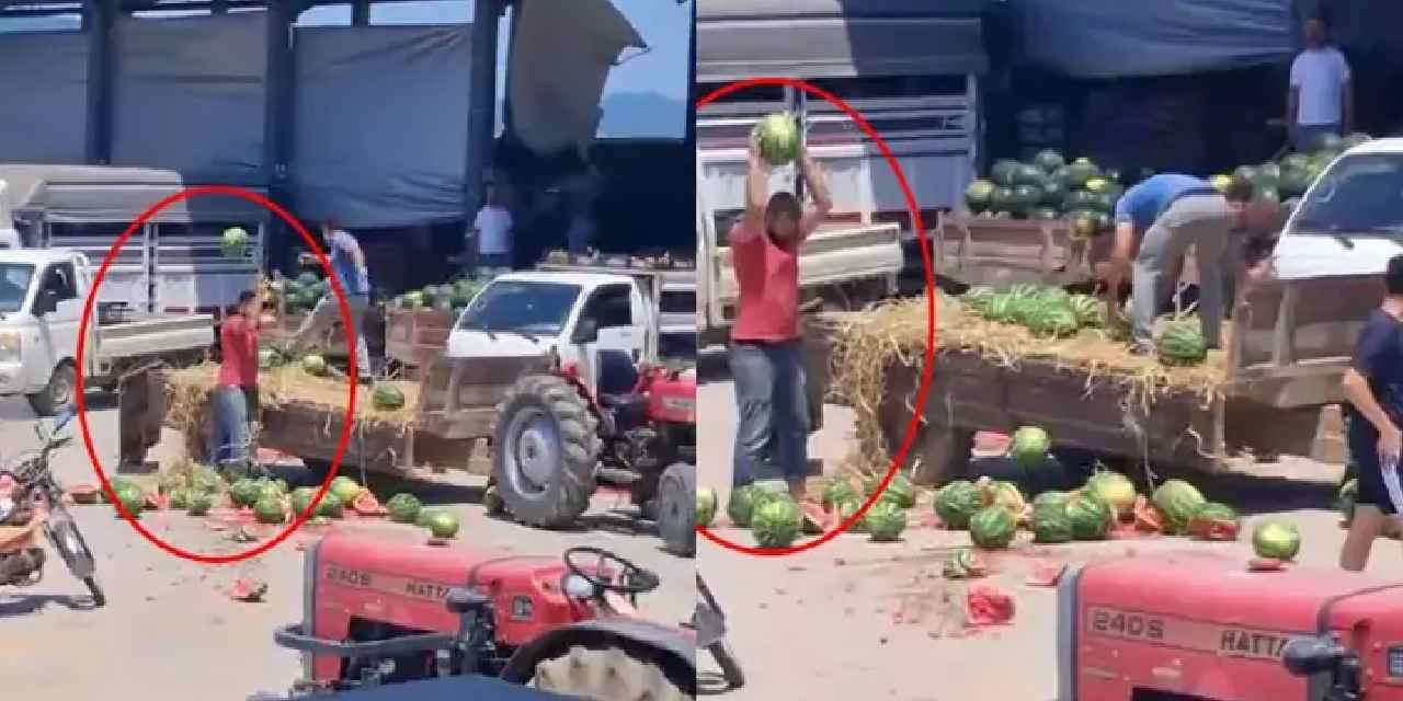 Karpuzları yere atıp parçalamışlardı: Rekor ceza kesildi