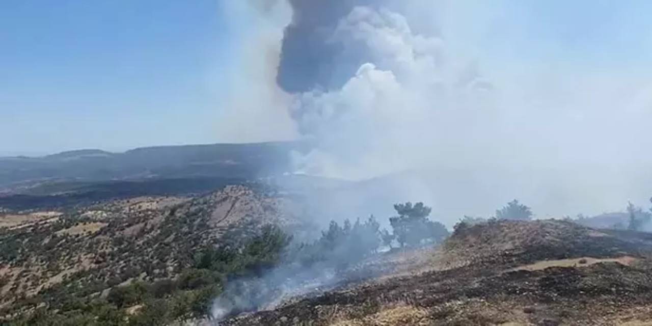 Çanakkale'de orman yangını