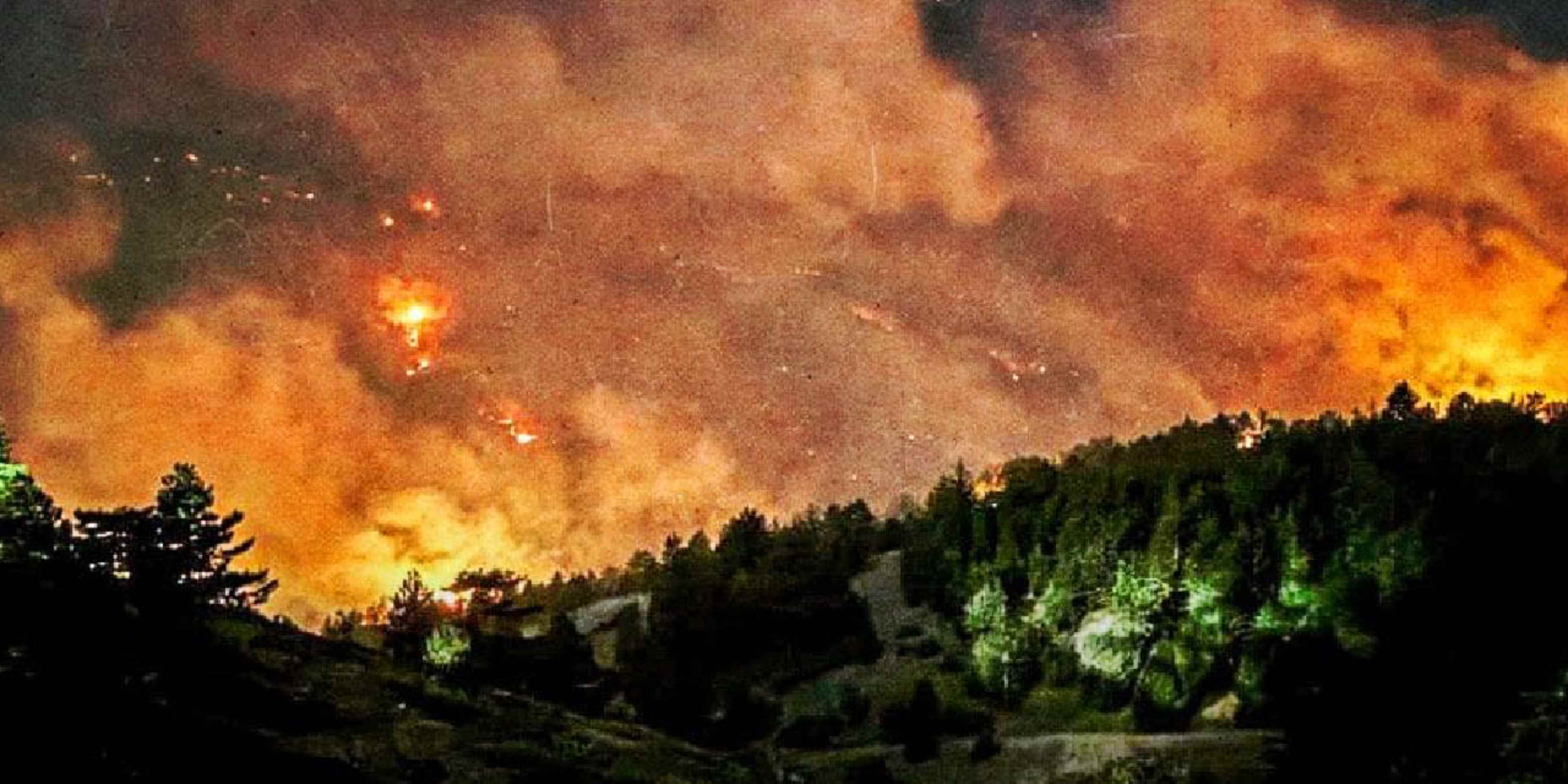Konya'daki orman yangınına ilişkin yeni detay: Çocuğun çay demlemek için yaktığı ateşten çıkmış
