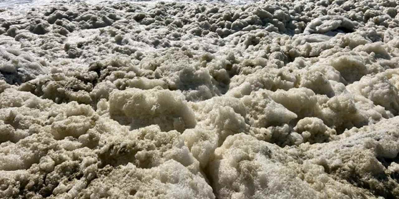 İskenderun Körfezi'nde endişelendiren görüntü: Sebebi ortaya çıktı