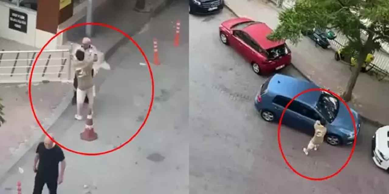 Kağıthane’de sabah saatlerinde hareketli dakikalar: Sokakta saldırmadığı araç kalmadı
