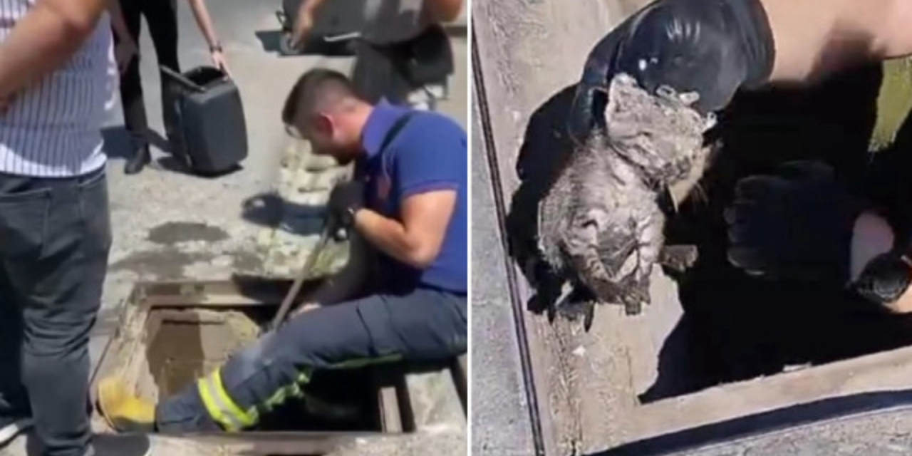 Yağmur suyu kanalında doğum: İtfaiye seferber oldu