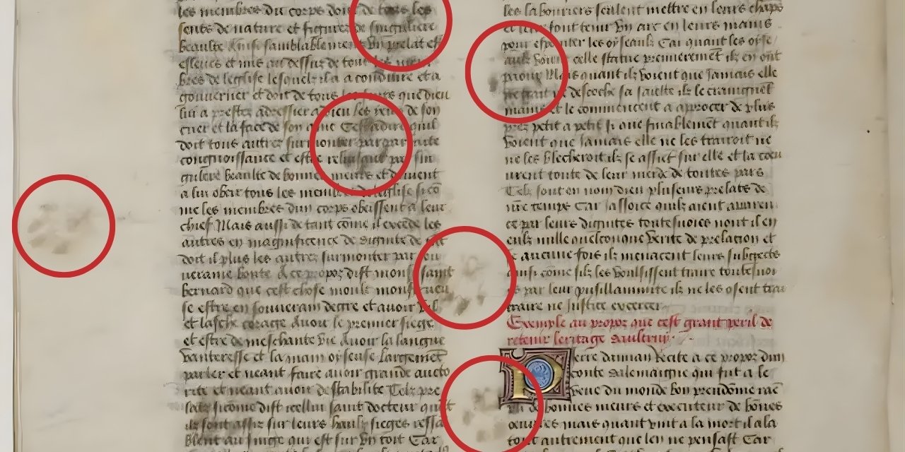 500 yıllık el yazmasında pati izleri dikkat çekti