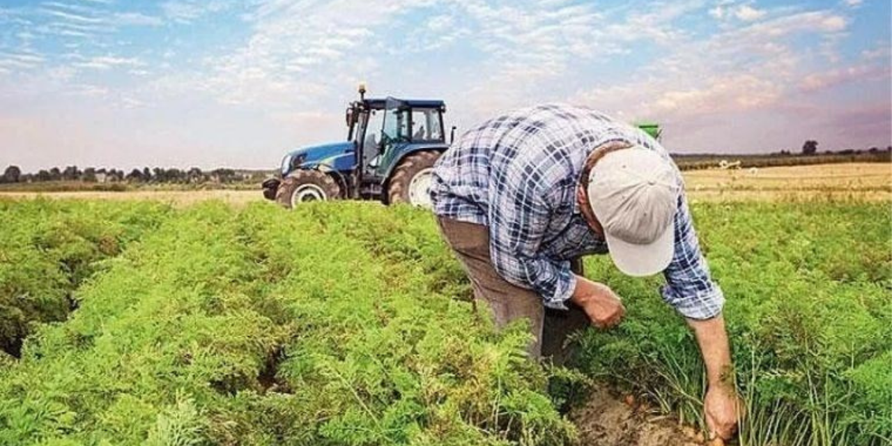 Çiftçiler Sendikası uyardı: Yeni destekleme modeli çiftçilerin yararına değil!