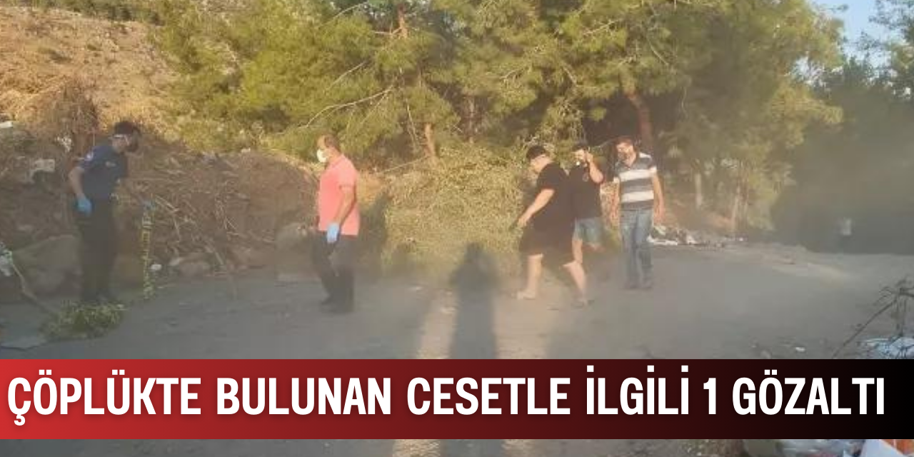 Fıçı içinde cesedi bulunmuştu: Profesörün ölümüyle ilgili bir kişi gözaltında