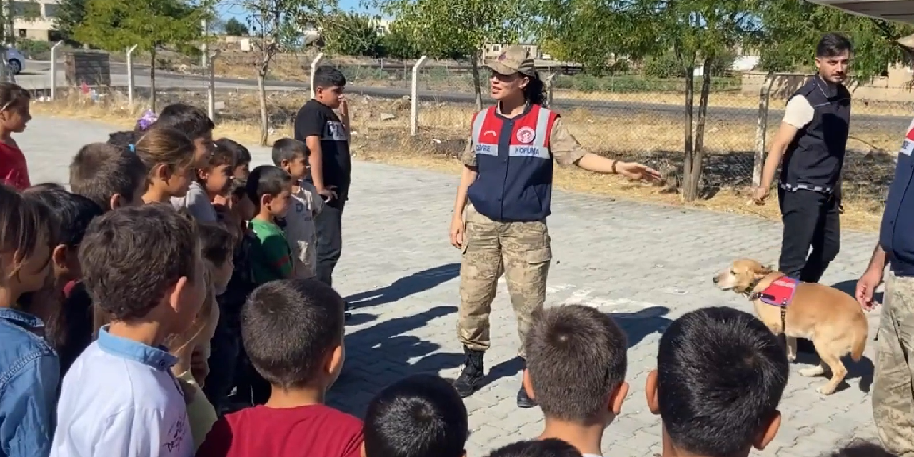 Diyarbakır'da "Hayvanları Koruma Günü" etkinliği yapıldı